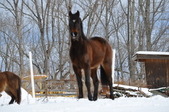Enlarge photo 78