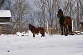 Enlarge photo 80