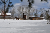 Enlarge photo 81
