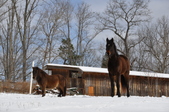 Enlarge photo 83