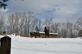 Enlarge photo 85
