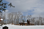 Enlarge photo 89