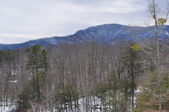 Enlarge photo 90
