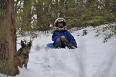 Enlarge photo 158