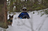 Enlarge photo 160