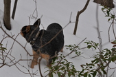 Enlarge photo 161