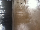 Enlarge photo 167