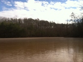 Enlarge photo 169