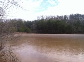 Enlarge photo 171