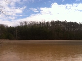 Enlarge photo 172