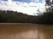 Enlarge photo 173