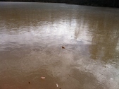 Enlarge photo 174