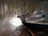 Enlarge photo 175