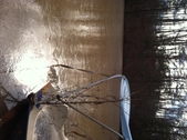 Enlarge photo 176