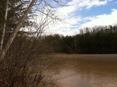 Enlarge photo 177