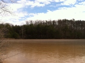 Enlarge photo 178
