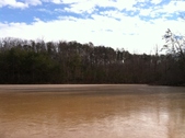 Enlarge photo 179
