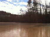 Enlarge photo 180