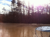 Enlarge photo 181