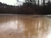 Enlarge photo 182