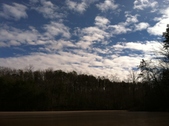Enlarge photo 185