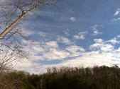 Enlarge photo 186
