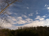Enlarge photo 187