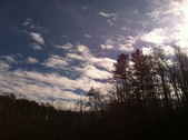 Enlarge photo 189