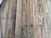 Enlarge photo 193