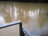 Enlarge photo 199