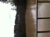 Enlarge photo 202