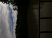 Enlarge photo 203