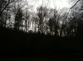 Enlarge photo 205