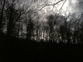 Enlarge photo 206