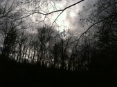 Enlarge photo 207