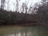 Enlarge photo 208
