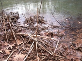 Enlarge photo 210