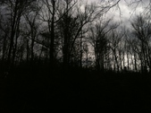 Enlarge photo 212
