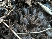 Enlarge photo 213