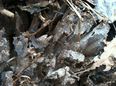 Enlarge photo 216