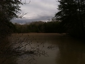 Enlarge photo 217