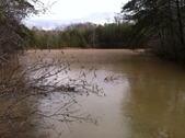 Enlarge photo 218