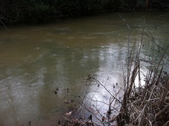 Enlarge photo 219
