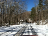 Enlarge photo 247