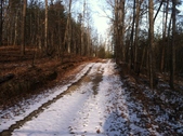 Enlarge photo 251