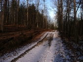 Enlarge photo 252