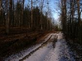 Enlarge photo 253