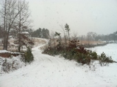 Enlarge photo 257