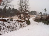 Enlarge photo 258