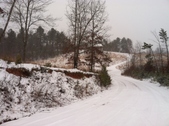Enlarge photo 259